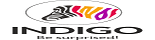 Indigo Paints